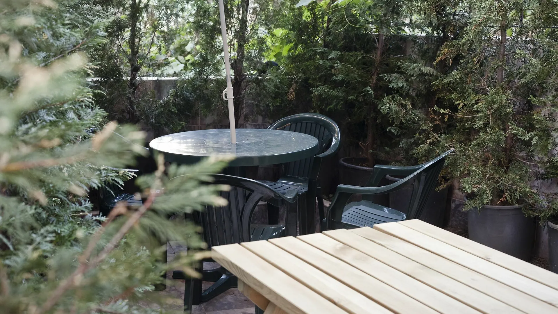 Veni Vidi Dormi Hostel Istanbul