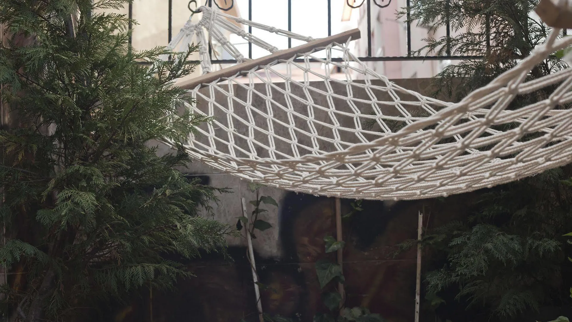 Veni Vidi Dormi Hostel Istanbul